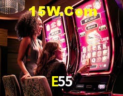Platform Technology E55