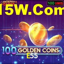 Secure Login E55