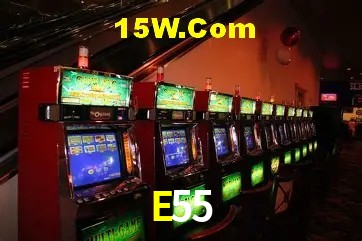 Sistemas de Segurança E55