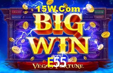 Login Seguro E55