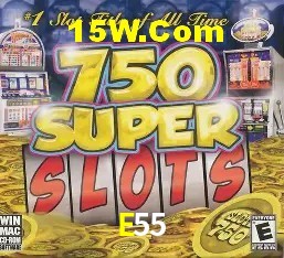 E55