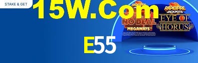 Statistics E55